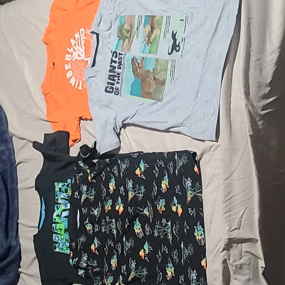 Boys Tshirt Bundle Size 7